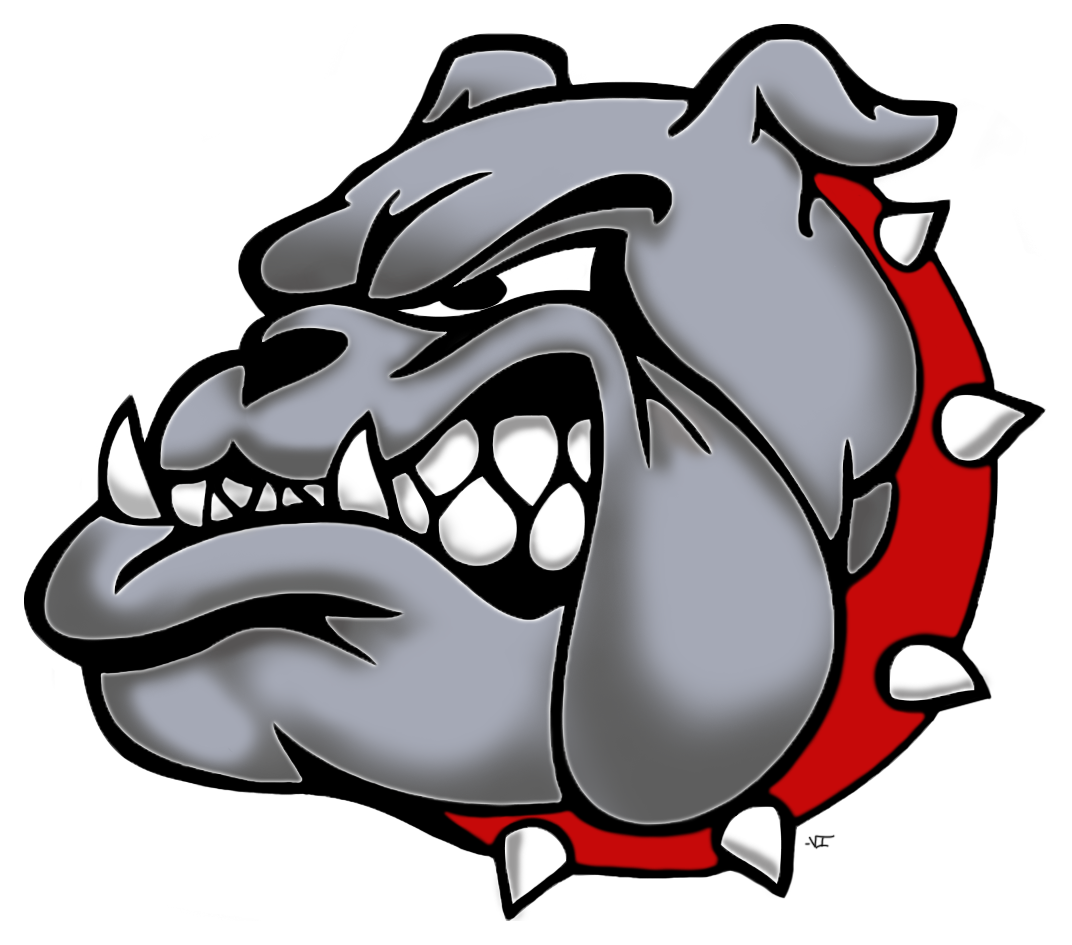 Brighton High School Volleyball